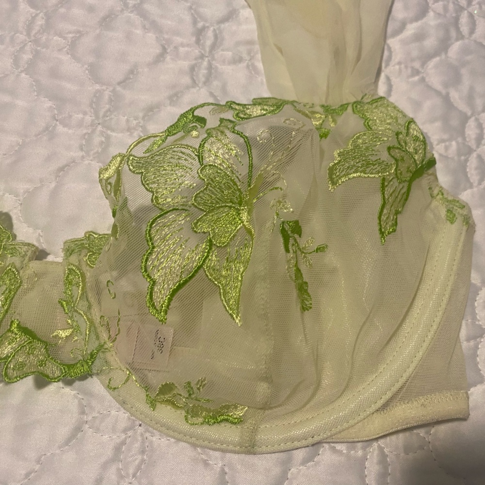 Victoria's Secret Sheer Green Floral Bra, 38C, with matching pantie, size large. - Picture 3 of 15